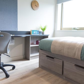 Standard Studio - Image 16