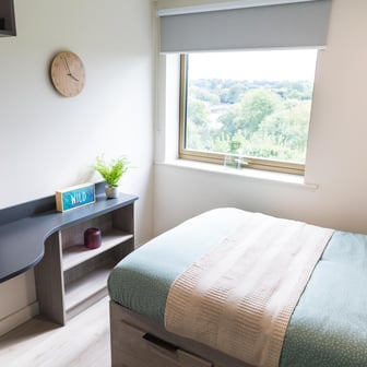 Standard Studio - Image 17