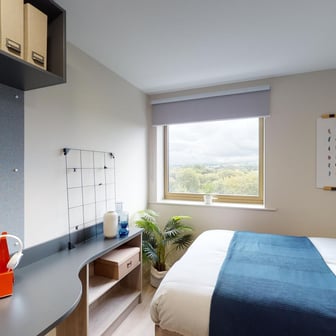 Standard Plus Studio - Image 5