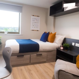 Standard Plus Studio - Image 4