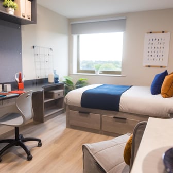 Standard Plus Studio - Image 14