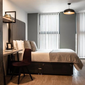 Studio Edition II Plus - Image 2