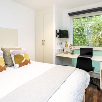 Deluxe Studio - Image 1