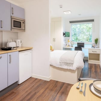 Deluxe Studio - Image 5