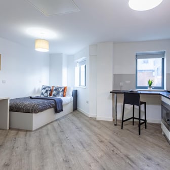 Deluxe Accessible Studio Plus - Image 3