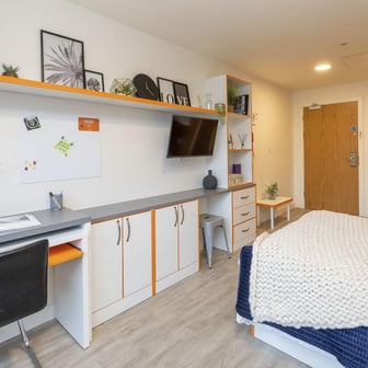 Classic Studio - Image 2