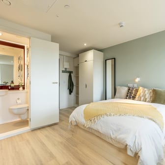 Classic Studio Plus - Image 2