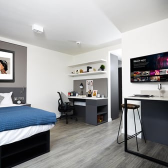 Platinum Accessible Studio - Image 2