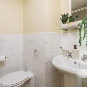 Basic Ensuite - Image 3