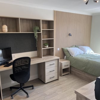 Dolphin Classic - Image 1