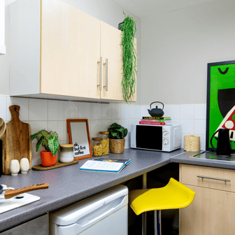 Classic Studio - Image 3