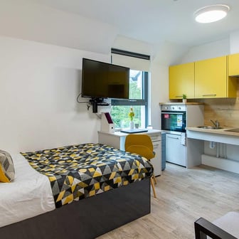 Deluxe Accessible Studio