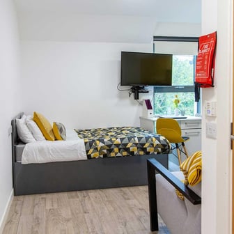 Deluxe Accessible Studio