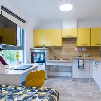 Deluxe Accessible Studio