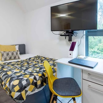 Deluxe Accessible Studio