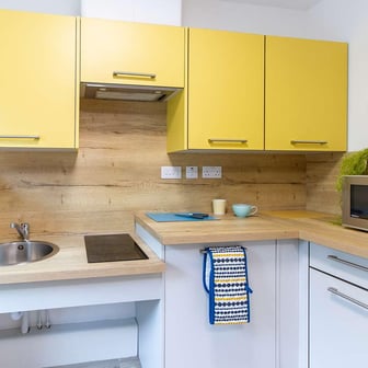 Deluxe Accessible Studio