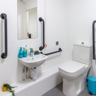 Deluxe Accessible Studio bathroom