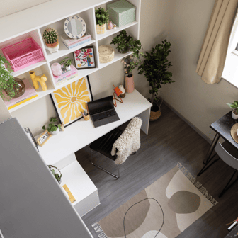 Classic Studio - Image 1