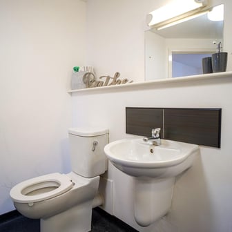 Platinum Ensuite bathroom