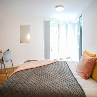 Platinum Plus Studio