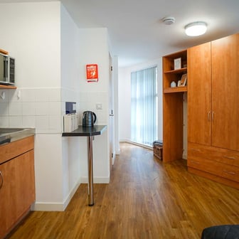 Platinum Plus Studio