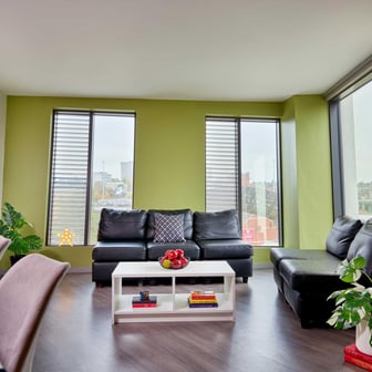 Flat Shared Living Area