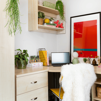 Premium Studio - Image 2