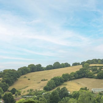 Premium Studio - Image 6