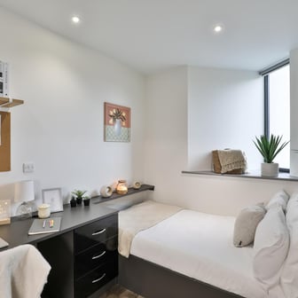 Standard Plus Studio