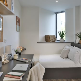 Standard Plus Studio