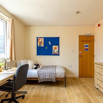 Standard Studio - Image 2