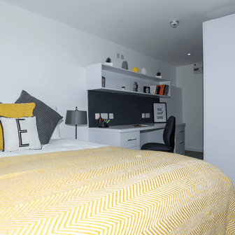 Premium Plus Studio - Image 3