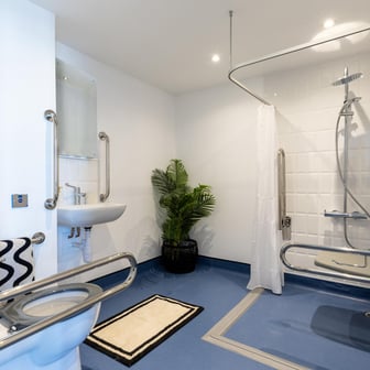 Platinum Suite - Accessible - Image 4