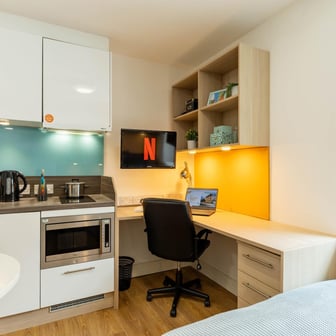 Classic Studio - Limited View - Image 3