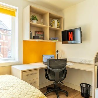 Classic Studio - Limited View - Image 9