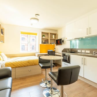 Classic Studio - Limited View - Image 2