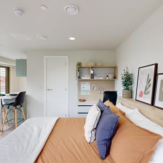 Premium Plus Studio - Image 2