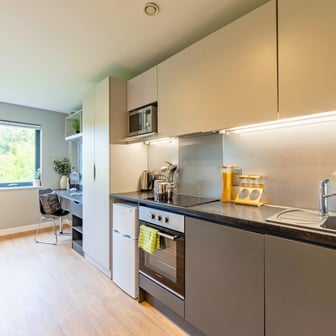 Top Floor Premium Plus Studio - Image 3