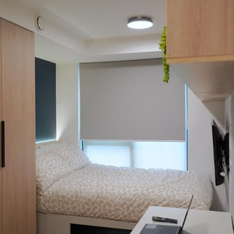 Classic Plus - Image 2