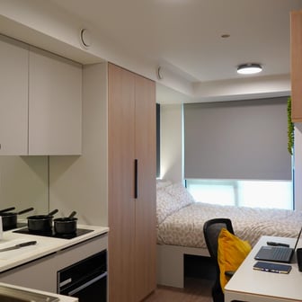 Classic Plus - Image 3