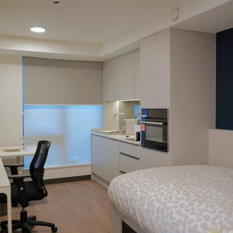 Premium Plus - Image 2