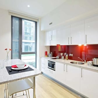 Standard Studio Silver - Dual Aspect - Image 3