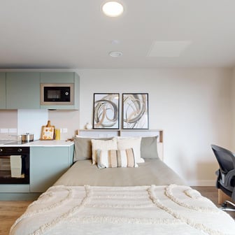 Deluxe Studio Lite - Image 3