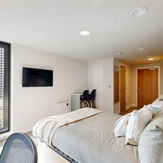 Deluxe Studio Lite - Image 4