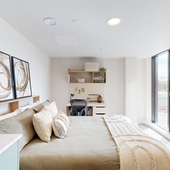 Deluxe Studio Lite - Image 2