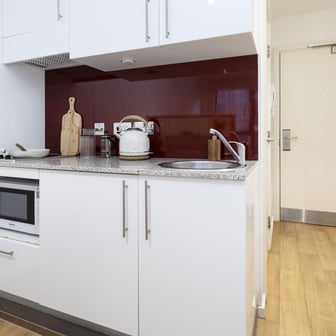 Standard Studio Gold - Dual Aspect - Image 3