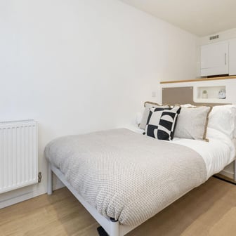 Standard Studio Gold - Dual Aspect - Image 4