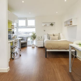 Deluxe Premium - Image 5