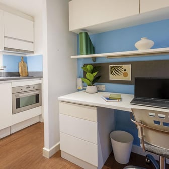 Large Standard Studio Dual Aspect - Image 2