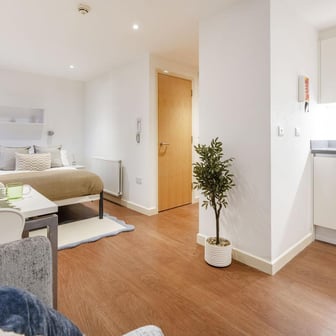 Large Standard Studio Dual Aspect - Image 4